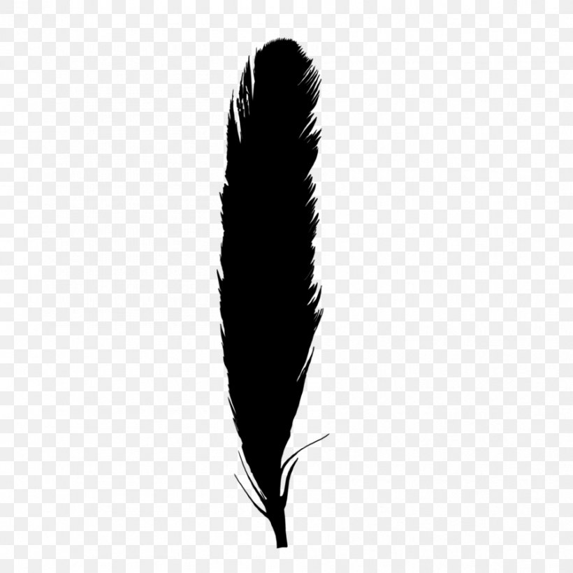 Monochrome Photography Feather Quill, PNG, 894x894px, Monochrome Photography, Black, Black And White, Black M, Feather Download Free