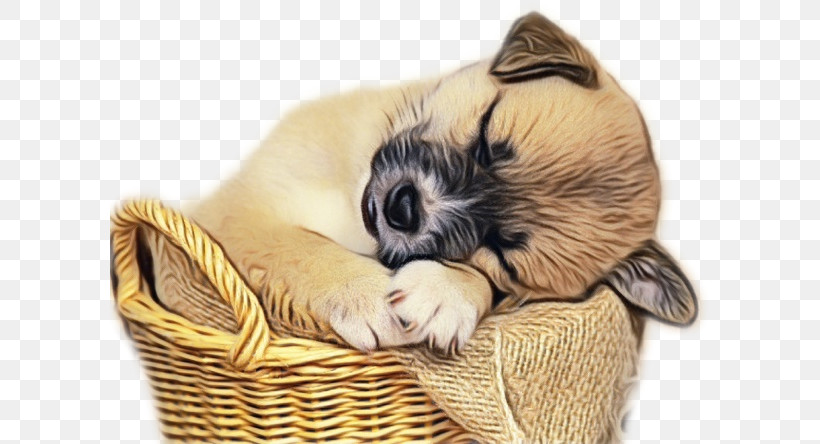 Puppy Shih Tzu Pug Beagle Maltese Dog, PNG, 600x444px, Watercolor, Beagle, Cat, Cuteness, Dog Download Free