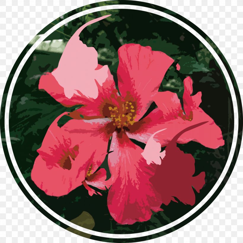 Rosemallows Rose Family Petal Punk Rock, PNG, 2717x2717px, Rosemallows, Flora, Flower, Flowering Plant, Hibiscus Download Free