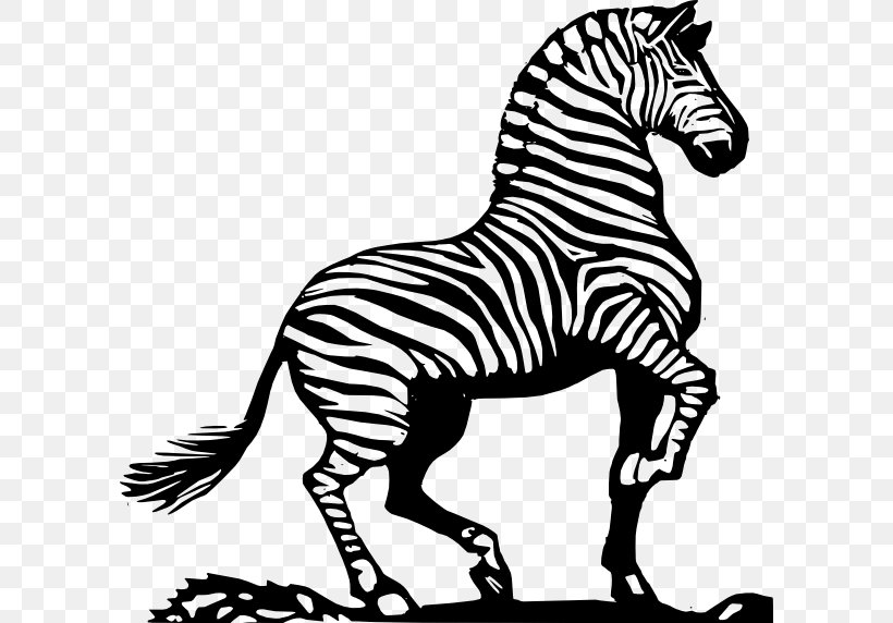 Zebra Horse Black And White Clip Art, PNG, 600x572px, Zebra, Black And White, Drawing, Fauna, Horse Download Free