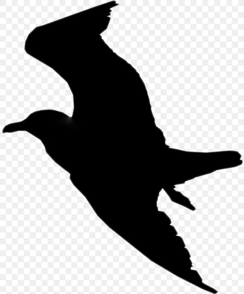 Beak Clip Art Fauna Silhouette, PNG, 810x987px, Beak, Bird, Fauna, Silhouette Download Free