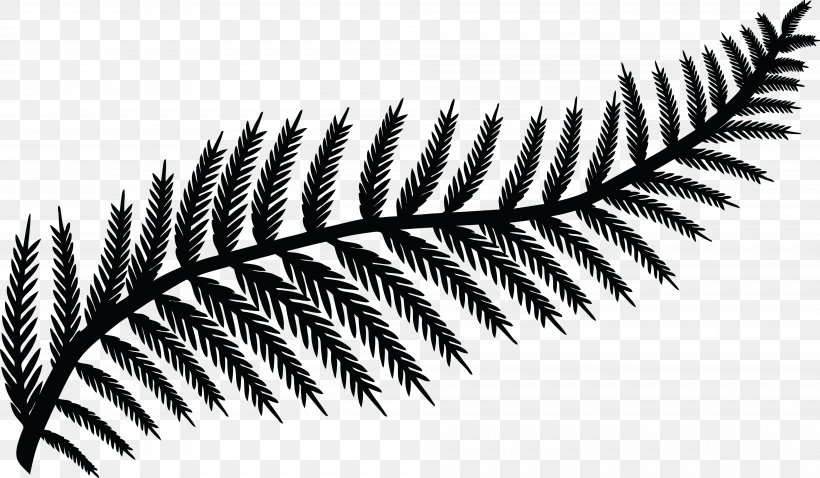 Fern Frond Plant Clip Art, PNG, 4000x2334px, Fern, Black And White, Branch, Close Up, Eyelash Download Free