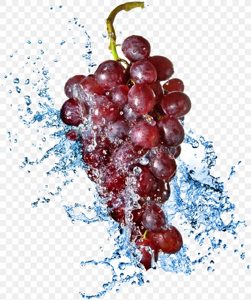 Juice Common Grape Vine Stock Photography, PNG, 2033x2435px, Juice, Cherry, Common Grape Vine, Drink, Flowering Plant Download Free