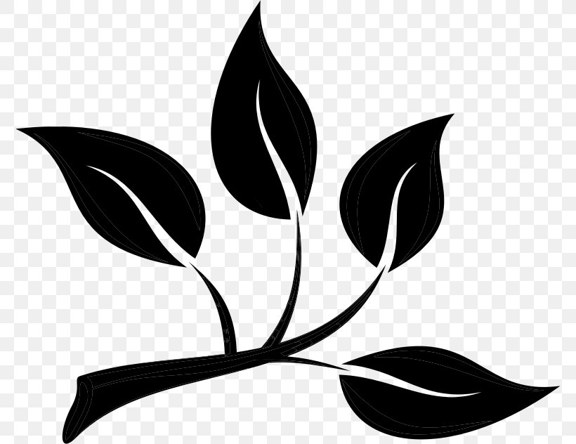 National Primary School Education Life Clip Art, PNG, 776x632px, 2018, School, Blackandwhite, Blog, Botany Download Free