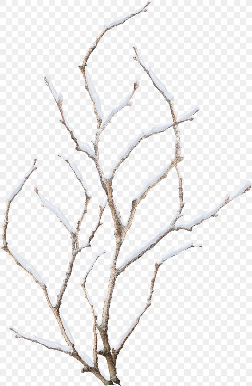 Snowflake Winter Branch, PNG, 1307x2000px, Snow, Branch, Flower, Ice, Icicle Download Free