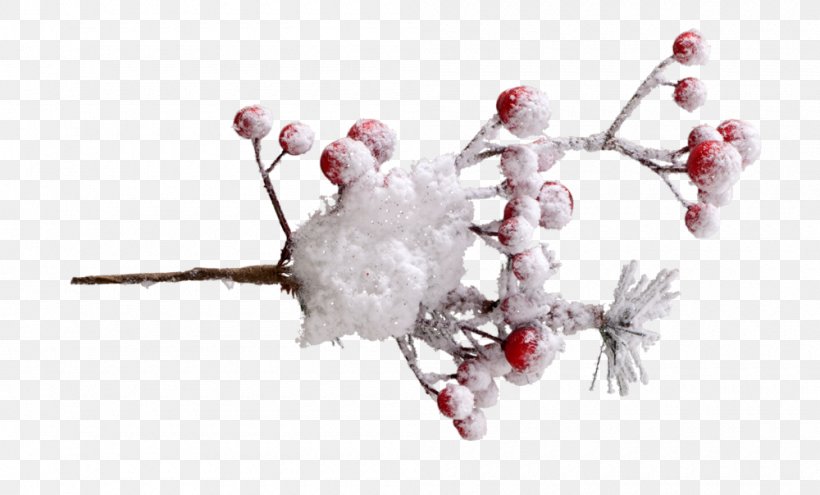 Branch Twig Tree Body Jewellery Snow, PNG, 1000x604px, Branch, Body Jewellery, Body Jewelry, Fruit, Human Body Download Free