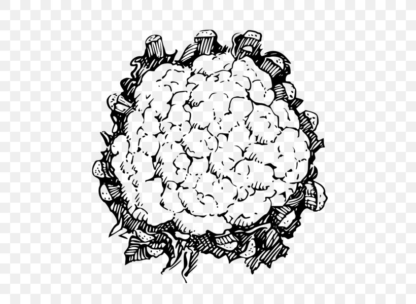 Cauliflower Line Art Clip Art, PNG, 600x600px, Cauliflower, Black And White, Drawing, Flower, Food Download Free