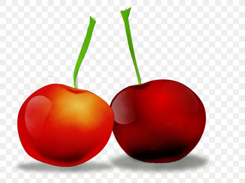 Cherry Fruit Natural Foods Red Plant, PNG, 958x719px, Watercolor, Cherry, Drupe, Food, Fruit Download Free