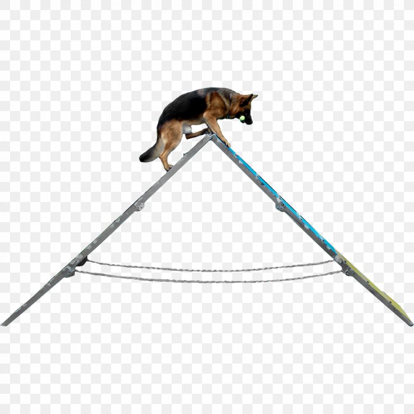 Dog Agility Carpet Cleaning Flooring, PNG, 975x975px, Dog, Carpet, Carpet Cleaning, Chemdry, Cleaning Download Free