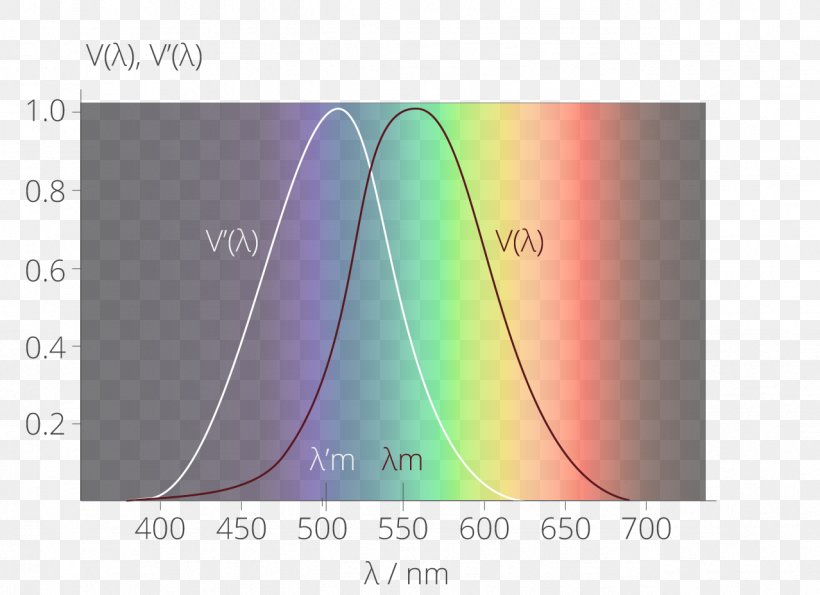 Light Spectral Sensitivity Scotopic Vision Luminosity Function Photopic Vision, PNG, 1278x928px, Light, Brand, Brightness, Color, Color Temperature Download Free