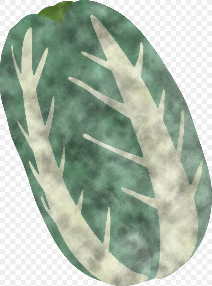 Nappa Cabbage, PNG, 2230x3000px, Nappa Cabbage, Green, Leaf, Plant, Plate Download Free