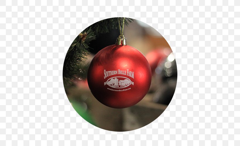 Southern Belle Farm Family Farm McDonough, PNG, 500x500px, Southern Belle Farm, Berry, Christmas, Christmas Decoration, Christmas Ornament Download Free