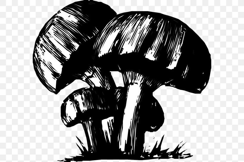 Black And White Mushroom Drawing, PNG, 600x545px, Black And White, Black, Cartoon, Drawing, Ink Download Free