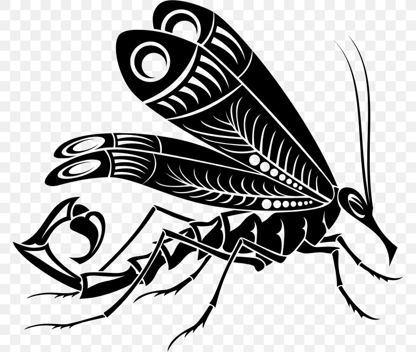 Butterfly Scorpion Gray Wolf Mosquito Clip Art, PNG, 770x694px, Butterfly, Art, Arthropod, Artwork, Black And White Download Free