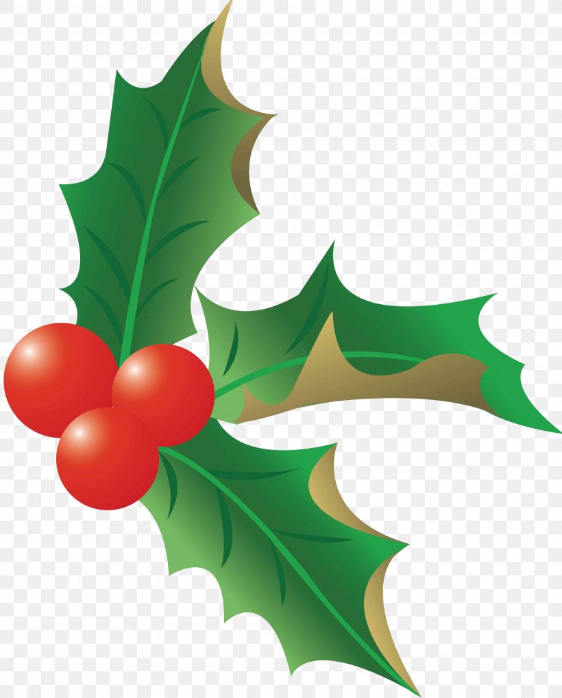 Christmas Clip Art, PNG, 3092x3846px, Christmas, Aquifoliaceae, Aquifoliales, Branch, Cdr Download Free