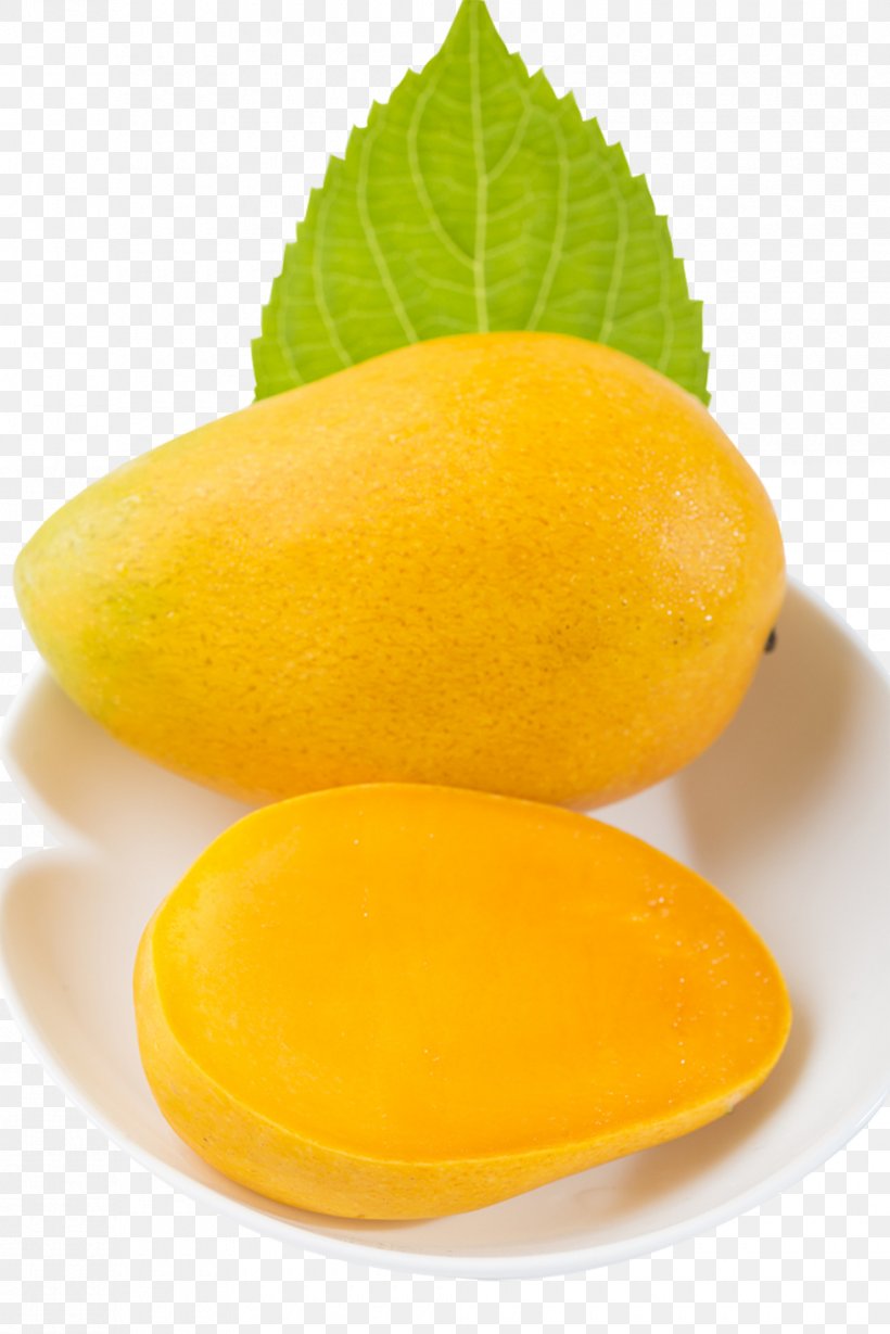 Mango Download Fruit, PNG, 980x1469px, Mango, Auglis, Citric Acid, Citron, Citrus Download Free
