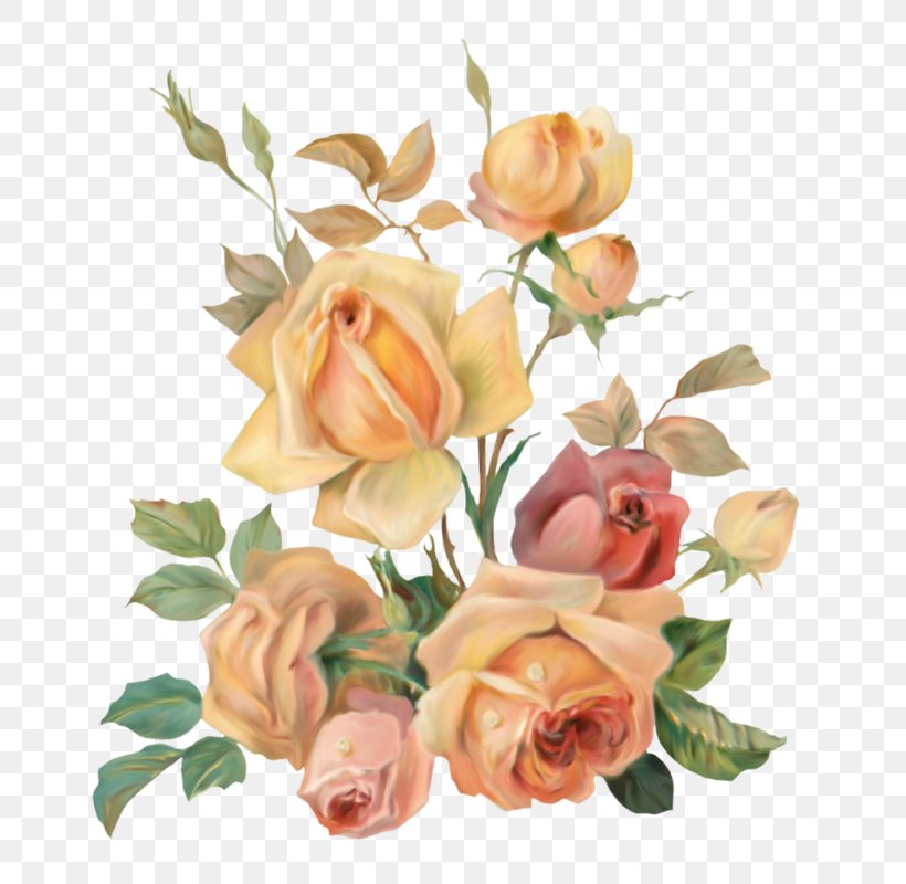 Rose Paper Clip Art, PNG, 694x800px, Rose, Artificial Flower, Cut Flowers, Floral Design, Floristry Download Free