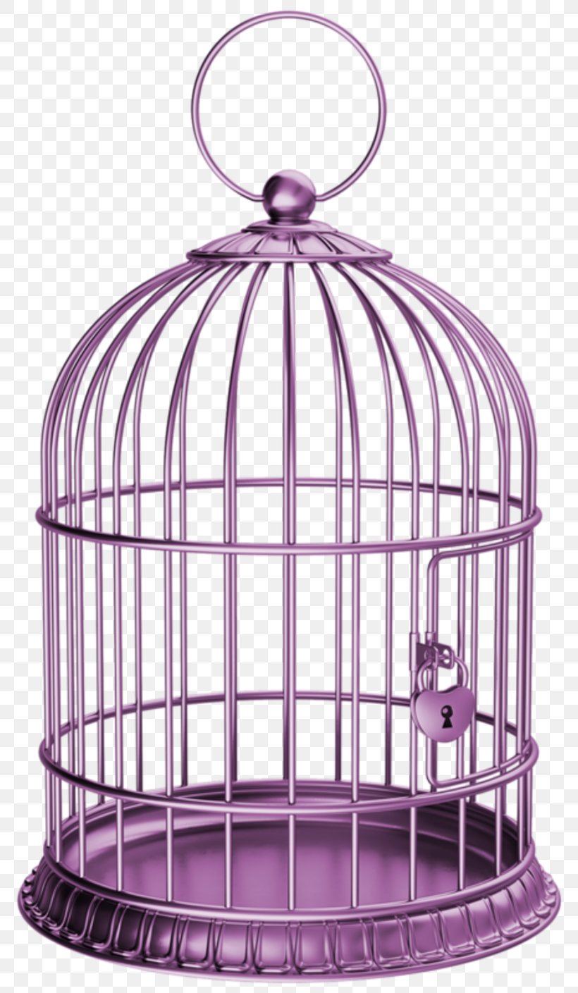 Birdcage Stock Photography, PNG, 800x1409px, Birdcage, Bird, Cage, Photography, Purple Download Free