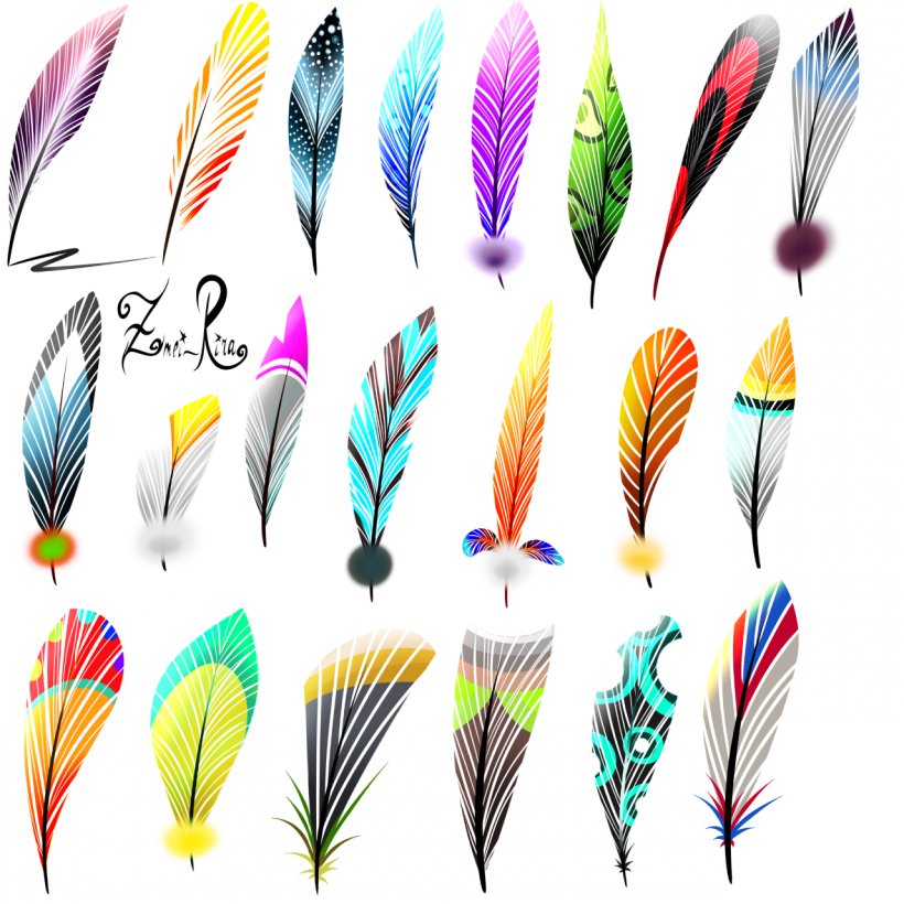Feather Beak Font, PNG, 1280x1280px, Feather, Beak, Material, Wing Download Free