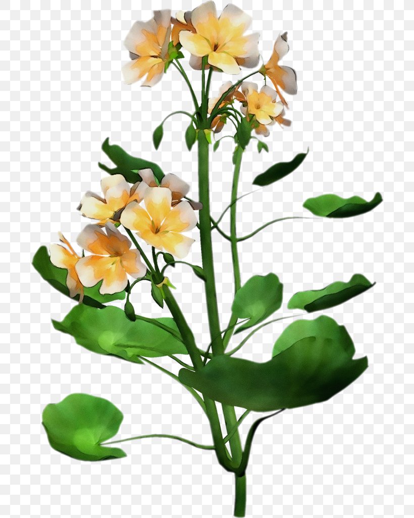 Flower Flowering Plant Plant Cut Flowers Yellow, PNG, 700x1026px, Watercolor, Branch, Cut Flowers, Flower, Flowering Plant Download Free