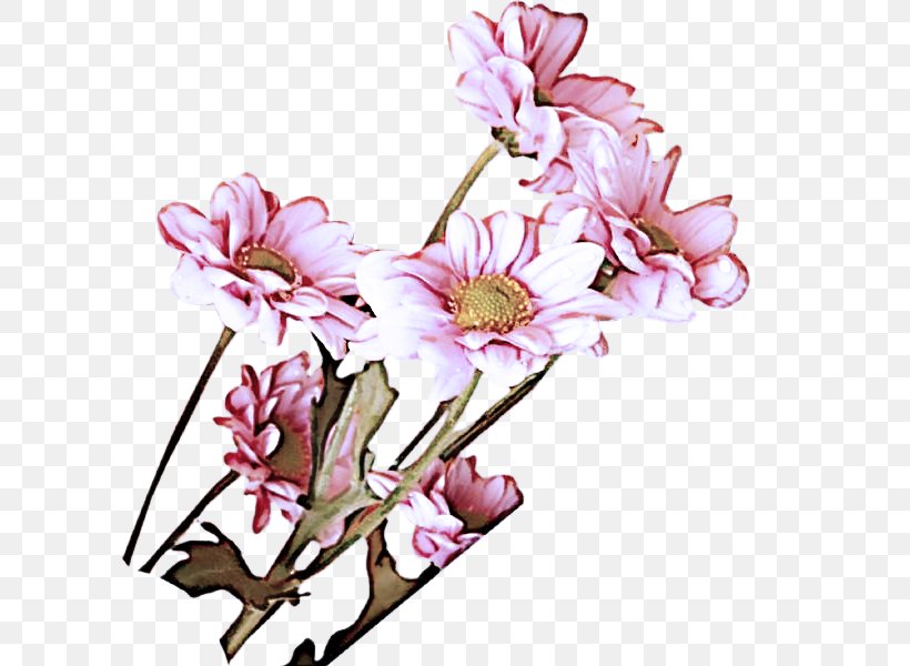 Flower Flowering Plant Plant Pink Cut Flowers, PNG, 600x600px, Flower, Blossom, Cut Flowers, Flowering Plant, Magnolia Download Free