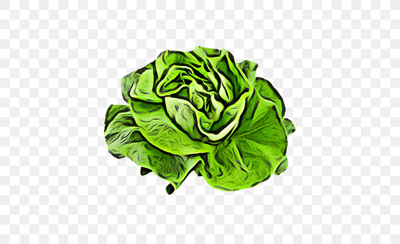 Green Leaf Cabbage Leaf Vegetable Lettuce, PNG, 500x500px, Green, Cabbage, Flower, Leaf, Leaf Vegetable Download Free