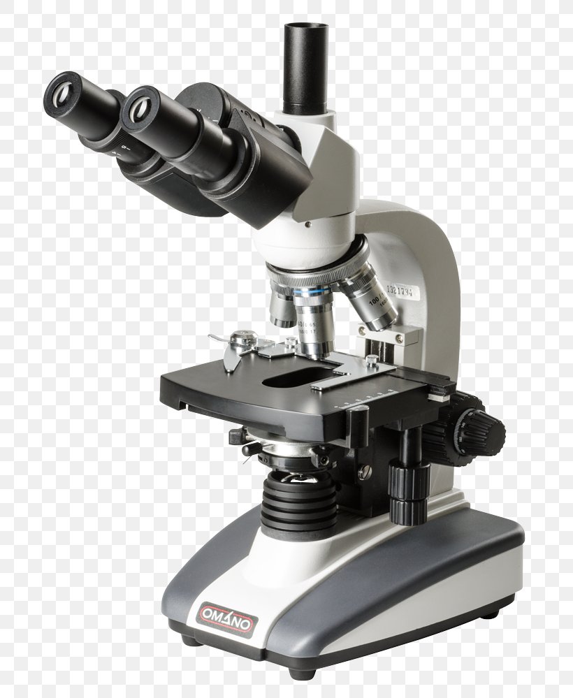 Light Optical Microscope Digital Microscope Eyepiece, PNG, 751x999px, Light,  Biology, Cell, Digital Microscope, Electron Microscope Download