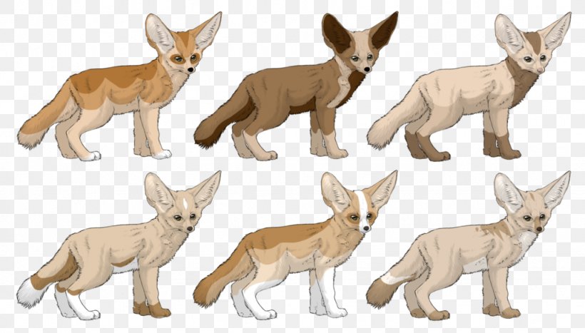 Red Fox Jackal Dog Breed, PNG, 1024x584px, Red Fox, Animal, Animal Figure, Breed, Carnivoran Download Free