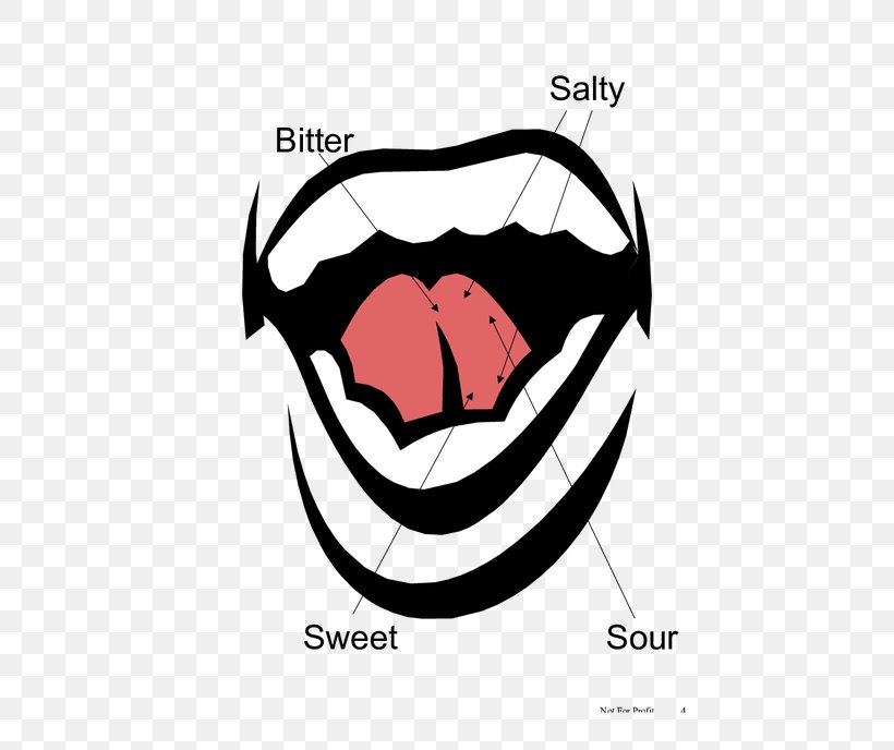 Eye Mouth Jaw Tooth Clip Art, PNG, 532x688px, Watercolor, Cartoon, Flower, Frame, Heart Download Free