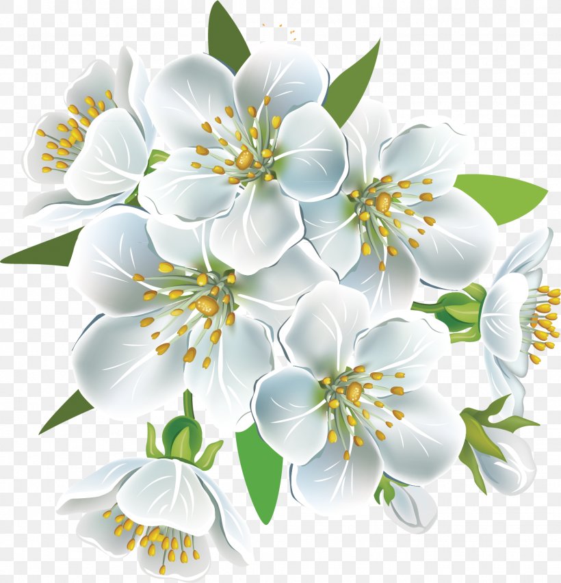 National Cherry Blossom Festival Flower Petal, PNG, 1554x1615px, National Cherry Blossom Festival, Blossom, Branch, Cerasus, Cherry Download Free