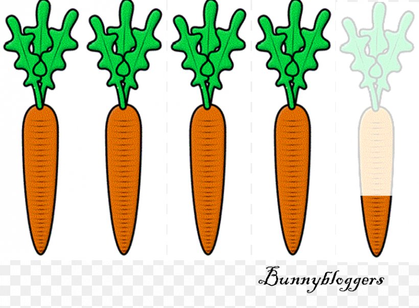 Pickled Cucumber Carrot Cake Cartoon Clip Art, PNG, 856x631px, Pickled Cucumber, Carrot, Carrot Cake, Cartoon, Drawing Download Free