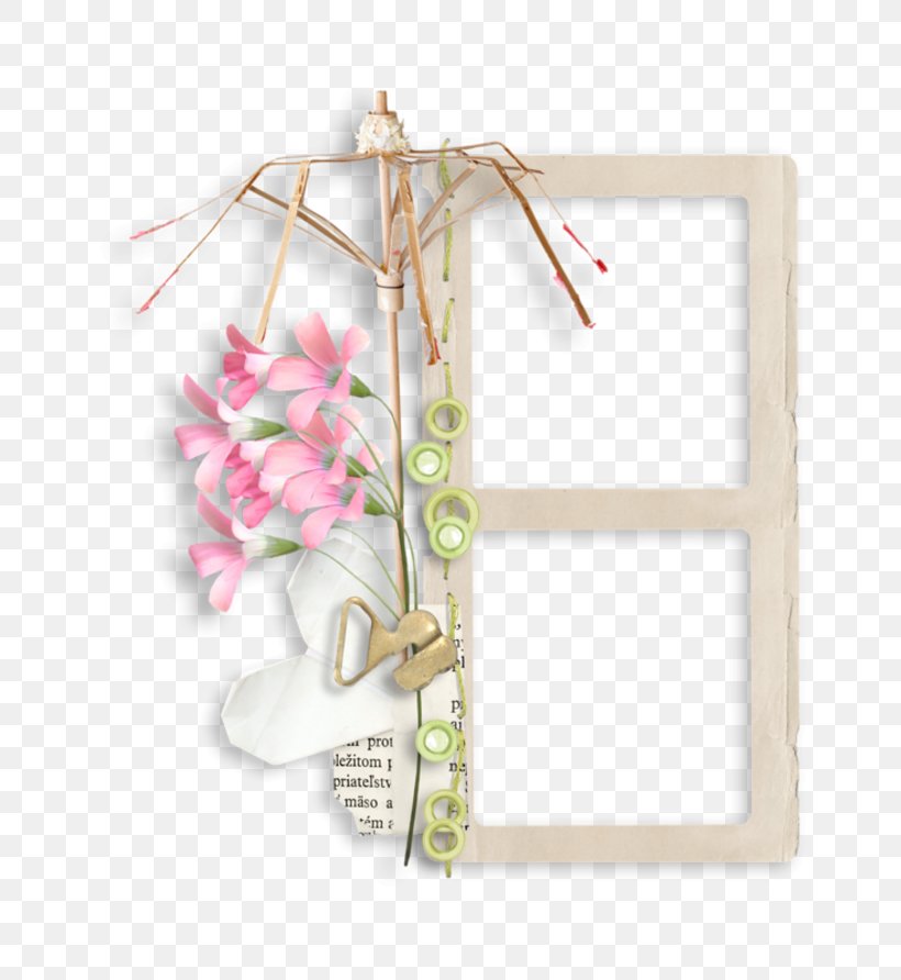 Product Picture Frames Clothes Hanger Pink M Petal, PNG, 800x892px, Picture Frames, Clothes Hanger, Clothing, Petal, Picture Frame Download Free