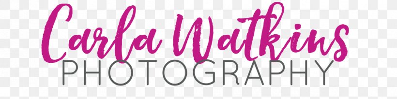 Wedding Photography Photographer Portrait Photography, PNG, 1188x298px, Photography, Brand, Business, Cumbria, Email Download Free