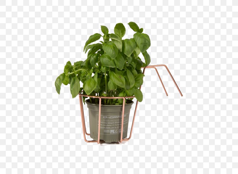 Basil Spring Greens Leaf Vegetable Flowerpot, PNG, 600x600px, Basil, Flowerpot, Herb, Leaf, Leaf Vegetable Download Free