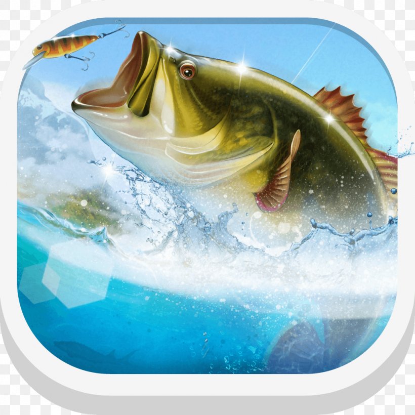 Let S Fish Sport Fishing Games Fishing Simulator Massively