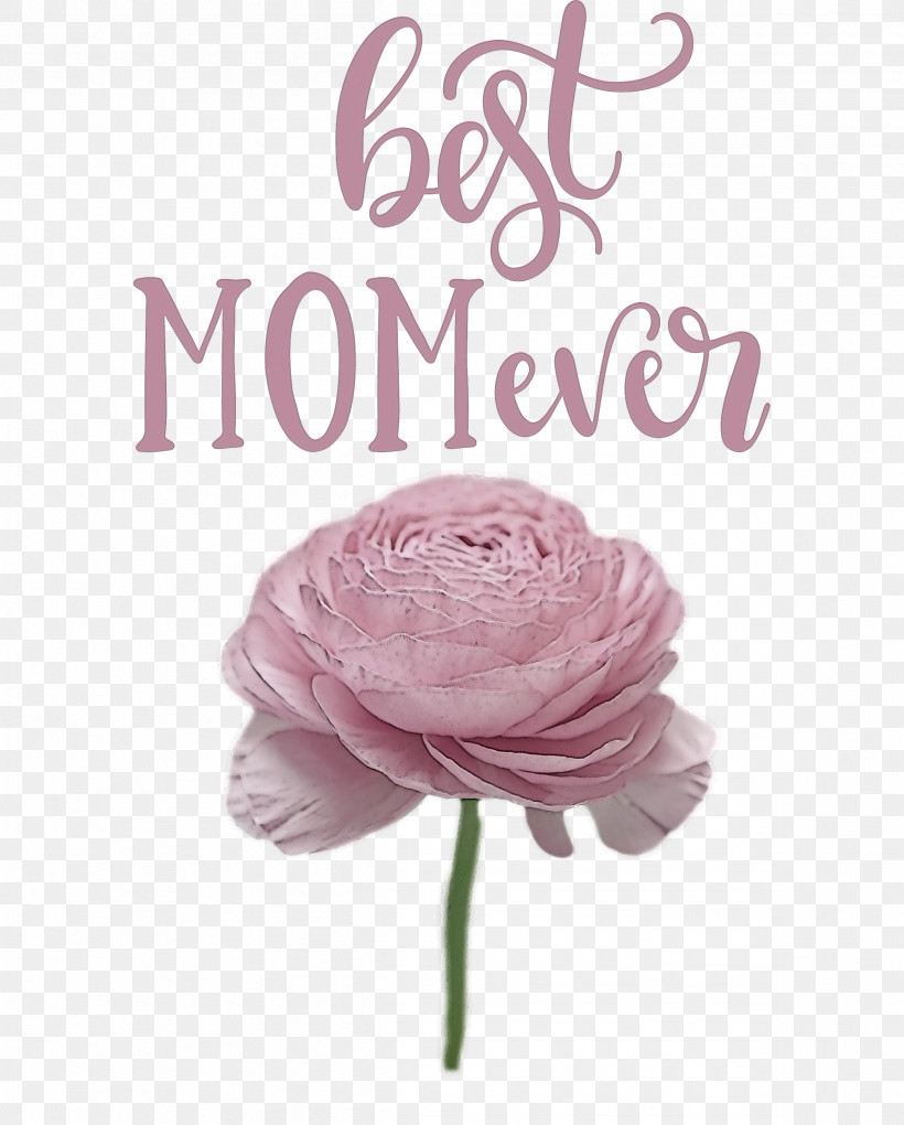 Mothers Day Best Mom Ever Mothers Day Quote, PNG, 2411x3000px, Mothers Day, Best Mom Ever, Cut Flowers, Floral Design, Garden Roses Download Free