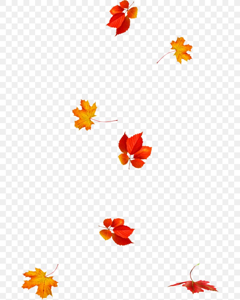 Petal Autumn Leaf Color Autumn Leaf Color Clip Art, PNG, 676x1024px, Watercolor, Cartoon, Flower, Frame, Heart Download Free