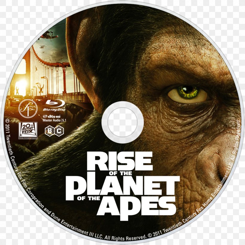Planet Of The Apes El Planeta De Los Simios Blu-ray Disc Film 0, PNG, 1000x1000px, 2011, Planet Of The Apes, Bluray Disc, Cinema, Dawn Of The Planet Of The Apes Download Free