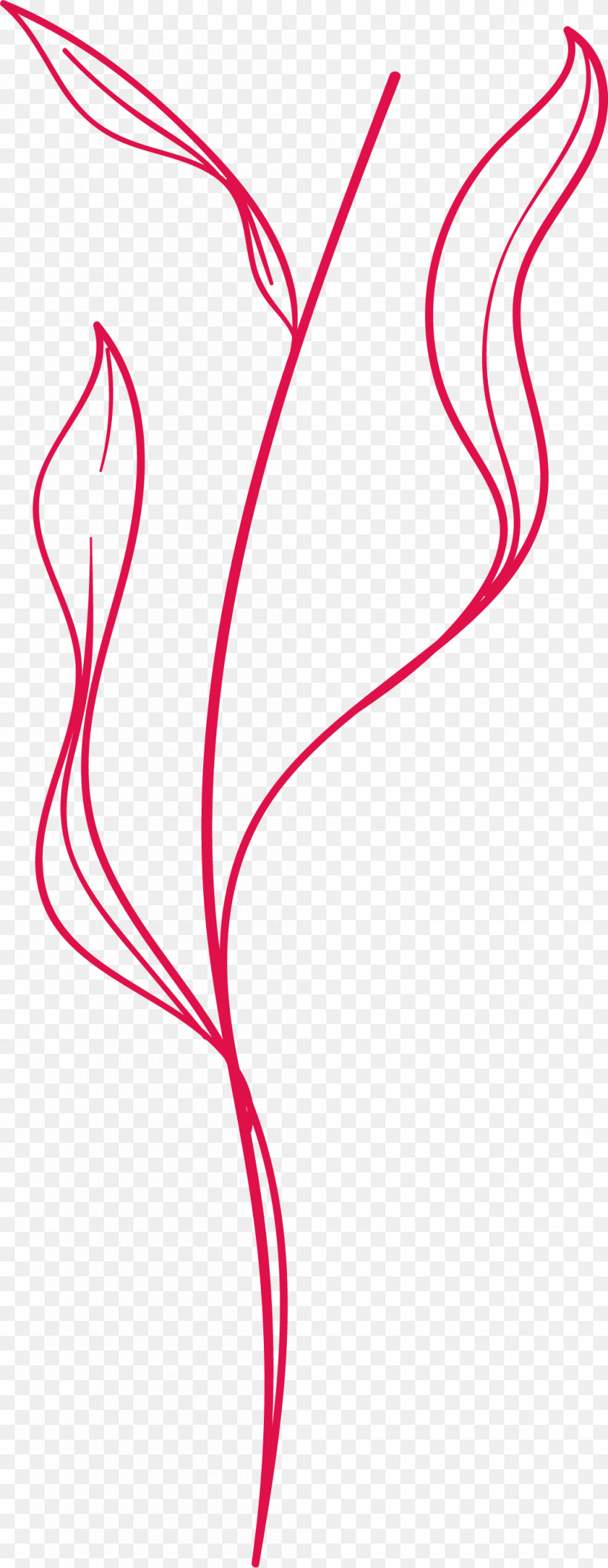 Simple Leaf Simple Leaf Drawing Simple Leaf Outline, PNG, 1053x2714px, Simple Leaf, Angle, Area, Line, Meter Download Free