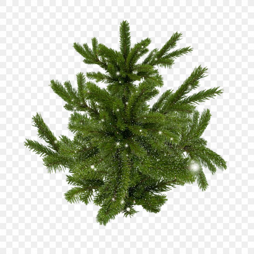 Spruce Pine Christmas Tree, PNG, 1500x1500px, Spruce, Branch, Christmas, Christmas Ornament, Christmas Tree Download Free