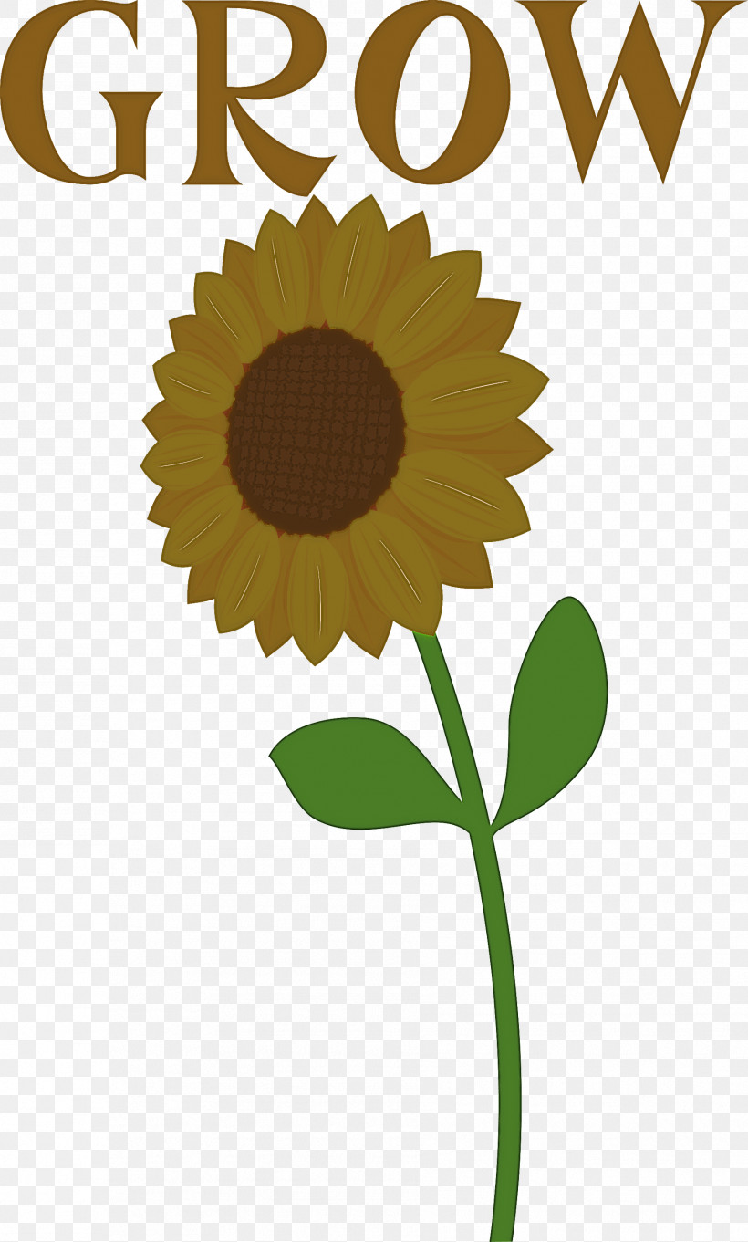GROW Flower, PNG, 1806x2999px, Grow, Flower, Logo, Social Media, Sunburst Download Free