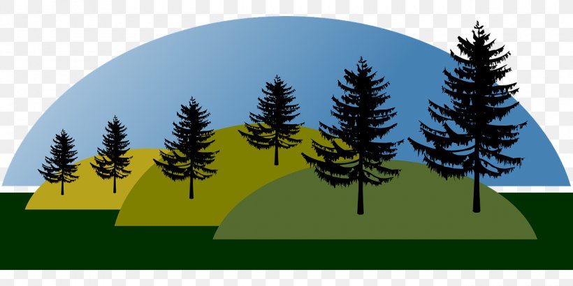 Nature Landscape Hill, PNG, 1280x640px, Nature, Conifer, Evergreen, Fir, Grass Download Free