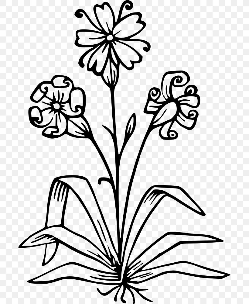 Picturesque New Guinea Photography Line Art Clip Art, PNG, 699x1000px, Picturesque New Guinea, Artwork, Black And White, Branch, Cut Flowers Download Free