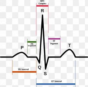 QRS Complex Electrocardiography P Wave Heart Depolarization, PNG ...