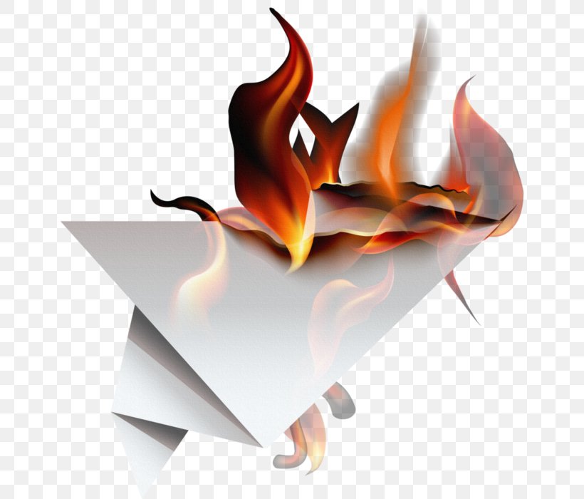 Book Paper Flame Clip Art, PNG, 650x700px, Paper, Bonfire, Book, Book Paper, Combustion Download Free