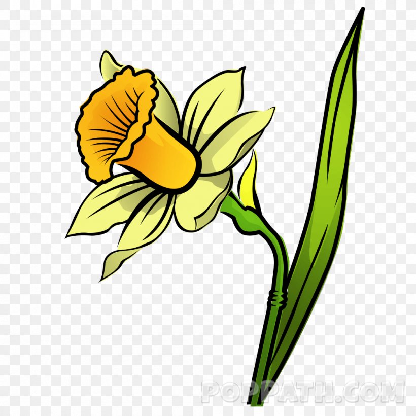 Daffodil Drawing Floral Design Clip Art, PNG, 1000x1000px, Daffodil, Amaryllis Belladonna, Amaryllis Family, Artwork, Black And White Download Free