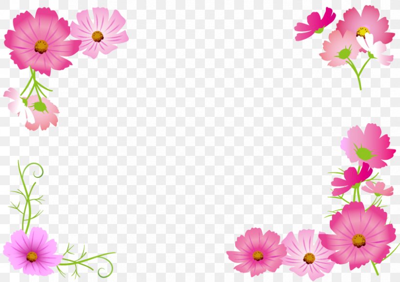 Flower Cosmos ふくしま子ども支援センター Clip Art Paper, PNG, 842x595px, Flower, Annual Plant, Blossom, Cosmos, Daisy Family Download Free