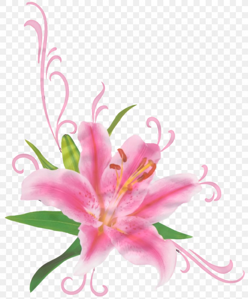 Flower Floral Design Desktop Wallpaper Clip Art, PNG, 1168x1404px, Flower, Alstroemeriaceae, Cut Flowers, Desktop Metaphor, Digital Image Download Free