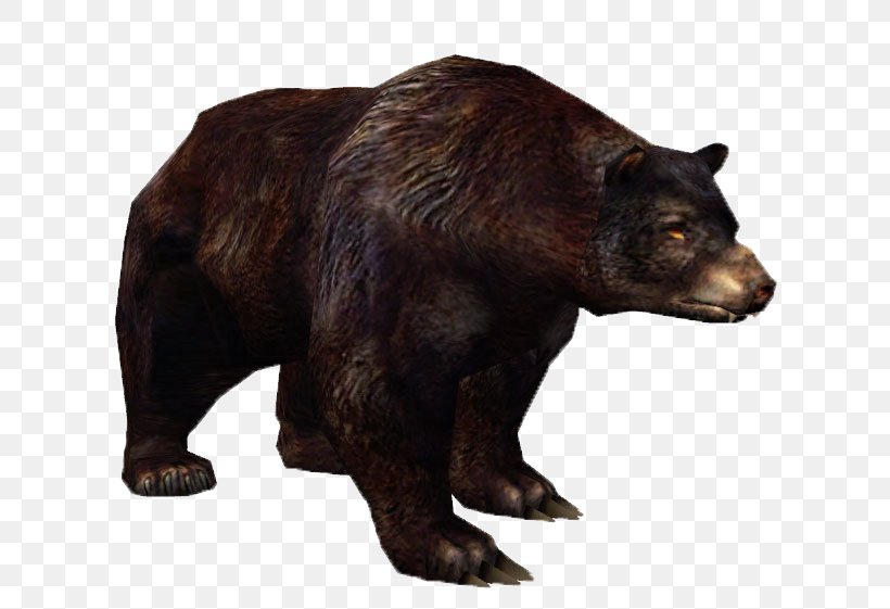 Grizzly Bear Metin2 American Black Bear Alaska Peninsula Brown Bear Animal, PNG, 659x561px, Grizzly Bear, Alaska Peninsula Brown Bear, American Black Bear, Animal, Bear Download Free
