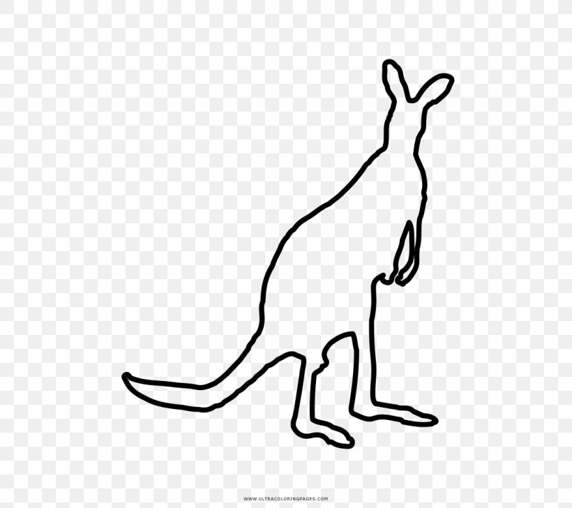 Kangaroo Domestic Rabbit Coloring Book Macropods, PNG, 728x728px, Kangaroo, Animal, Animal Figure, Area, Black And White Download Free